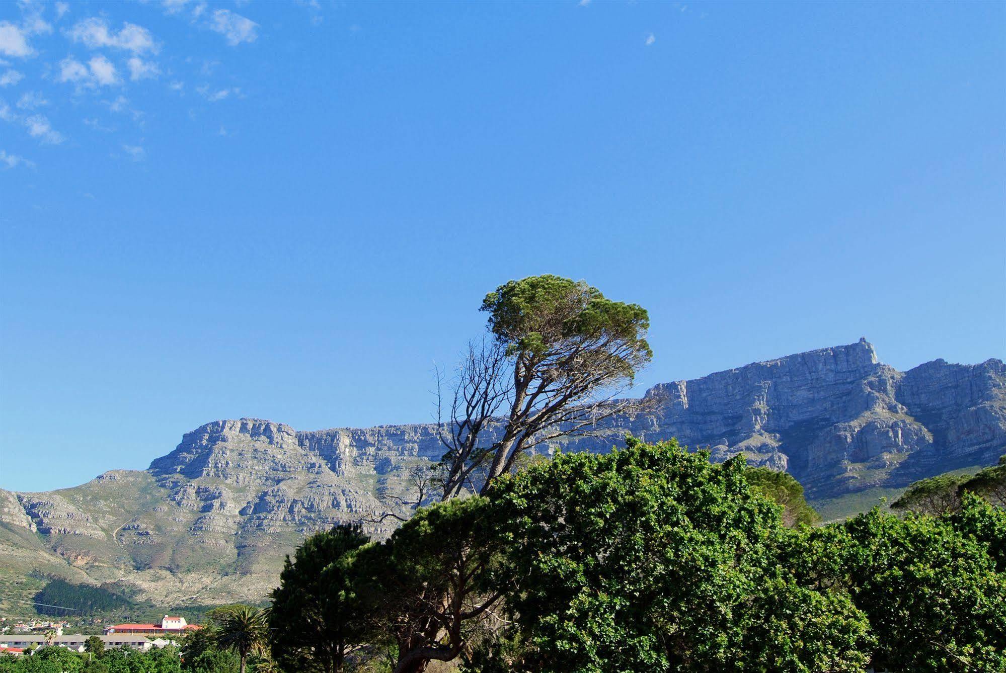 Ashanti Lodge Backpackers Cape Town Bagian luar foto